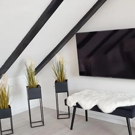 See & So Modern Retreat